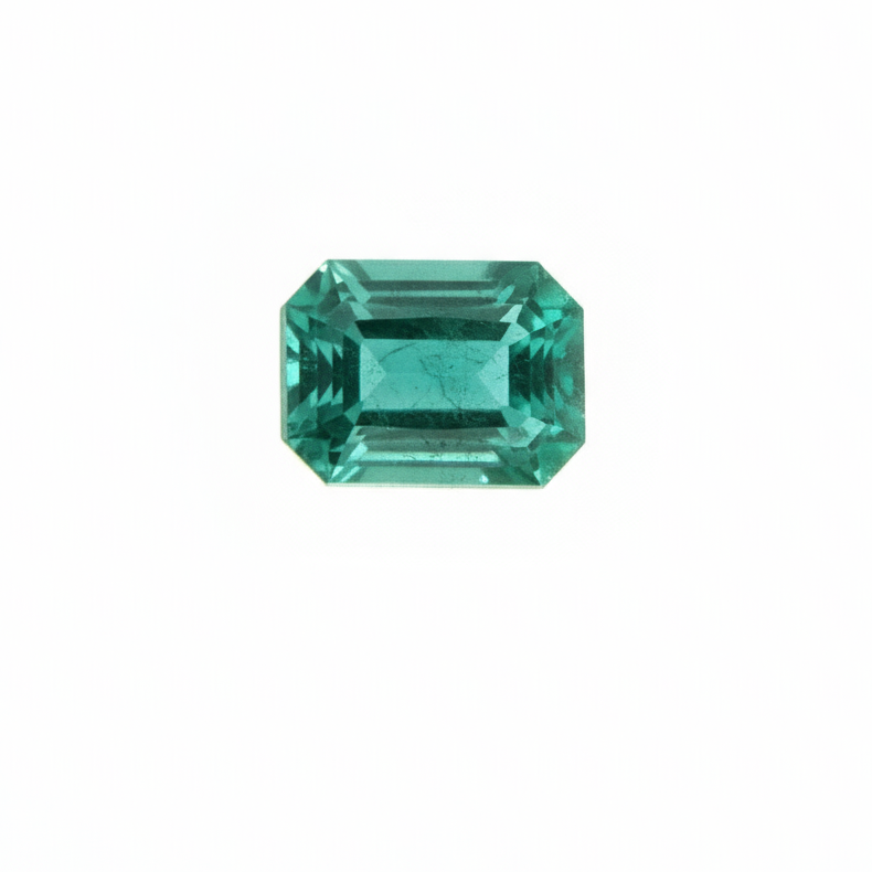 SMERALDO OTTAGONALE 7X5 MM MEDIAMENTE INCLUSO SINGOLOBest